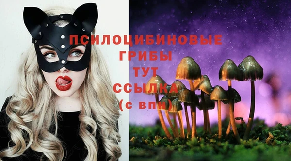 прущие крисы Ладушкин