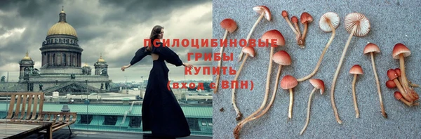 амф Лабытнанги