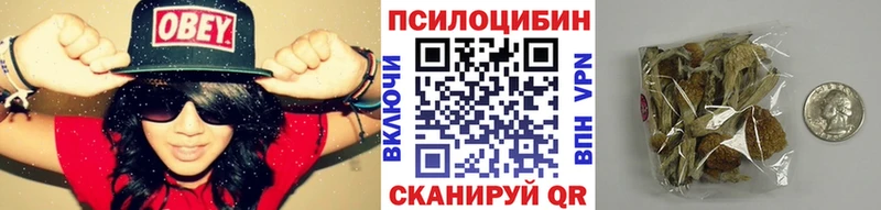 Псилоцибиновые грибы Psilocybe  ссылка на мегу ссылка  Яранск  где купить наркоту 